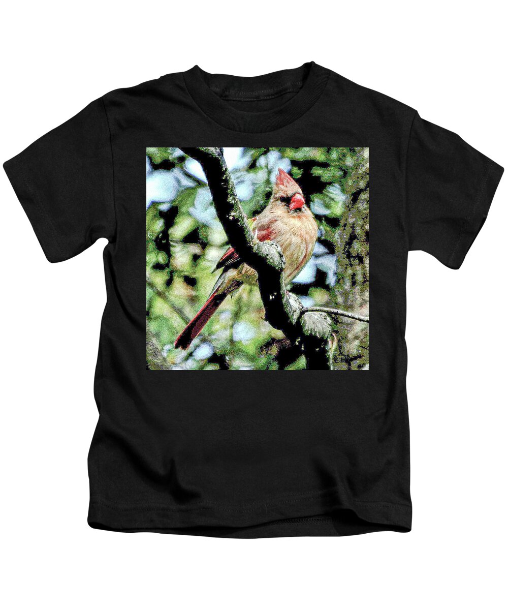 Cardinal Bird Feathers Red Branch Tree Kids T-Shirt featuring the photograph Cardinal by John Linnemeyer