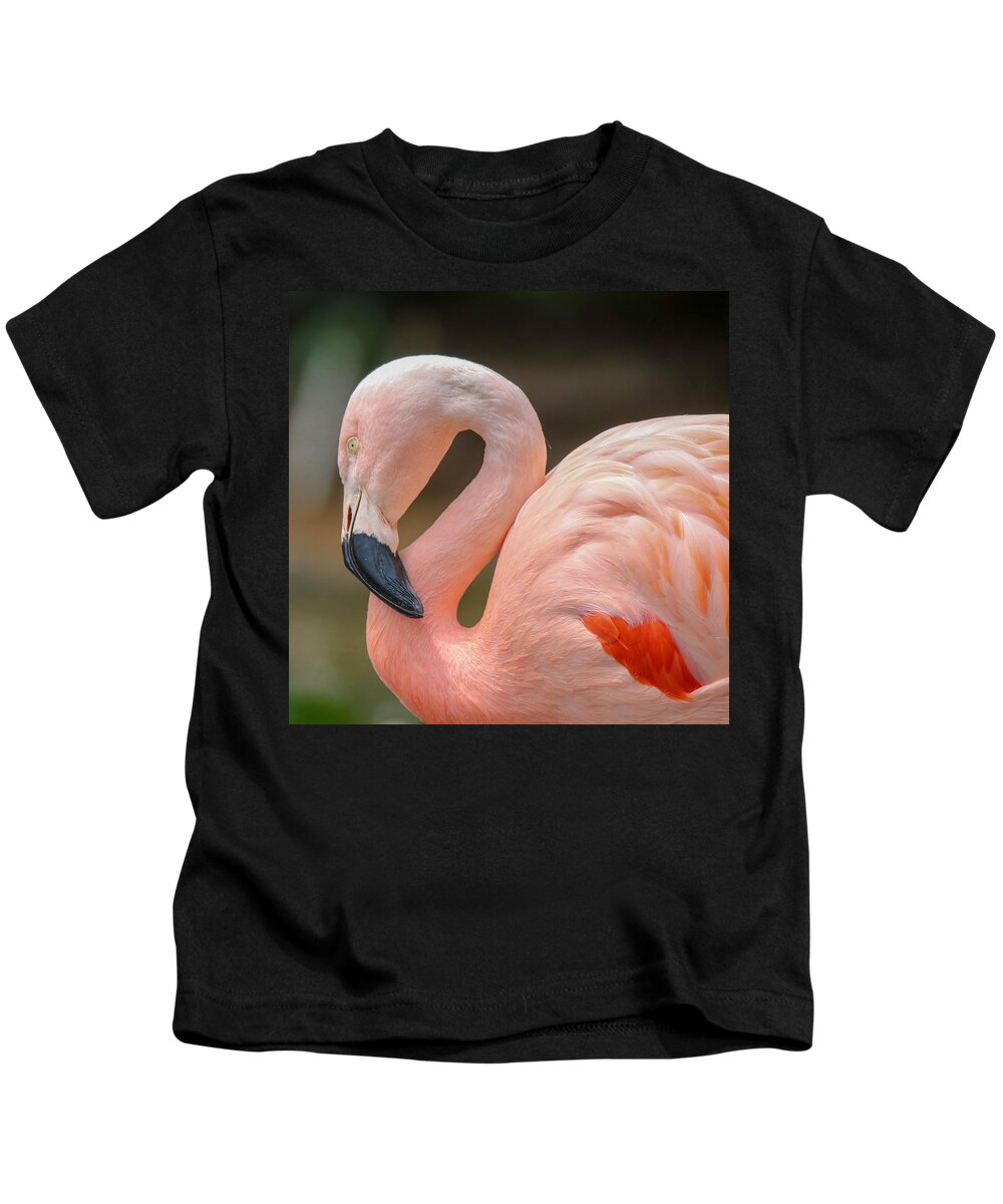 Flamingo Kids T-Shirt featuring the photograph Chilean Flamingo Portrait by Susan Rydberg