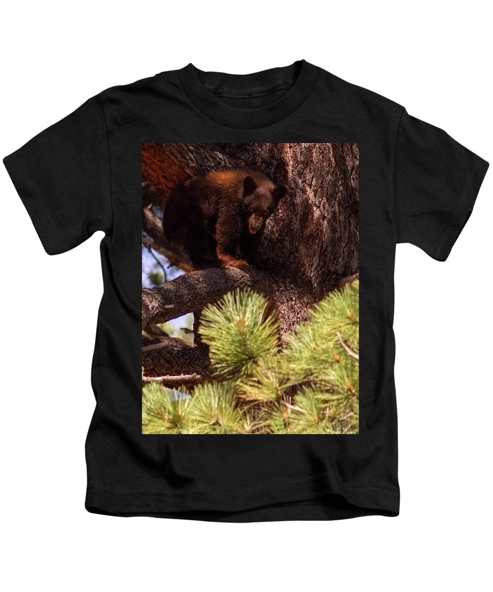 Wildlife Kids T-Shirt featuring the photograph cub with tongue out, El Dorado National Forest, California, U.S.A. by PROMedias US