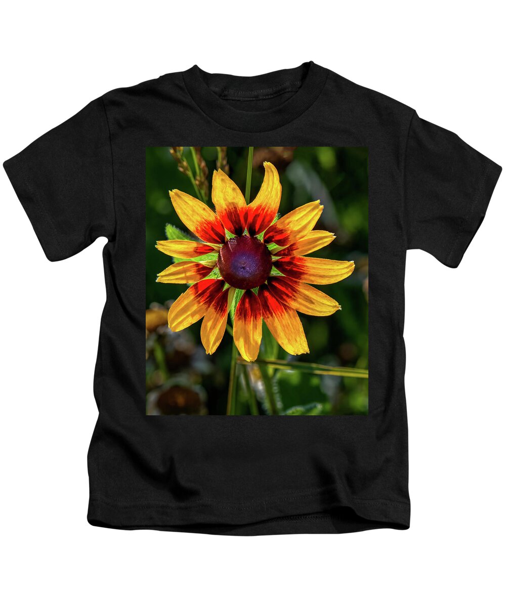 Colors Kids T-Shirt featuring the photograph Daisy in sunlight by Brian Shoemaker