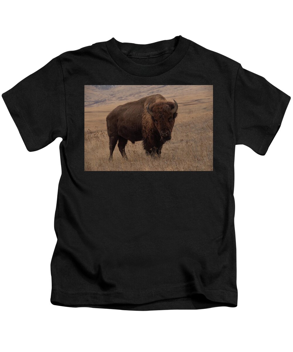 Bison Roam Through The Big Sky Country Of Montana Kids T-Shirt featuring the photograph Do you have any veggies? by Carolyn Hall