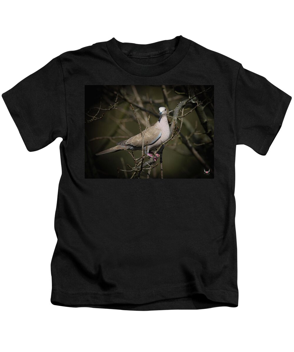 Dove Kids T-Shirt featuring the photograph Dove by Pam Rendall