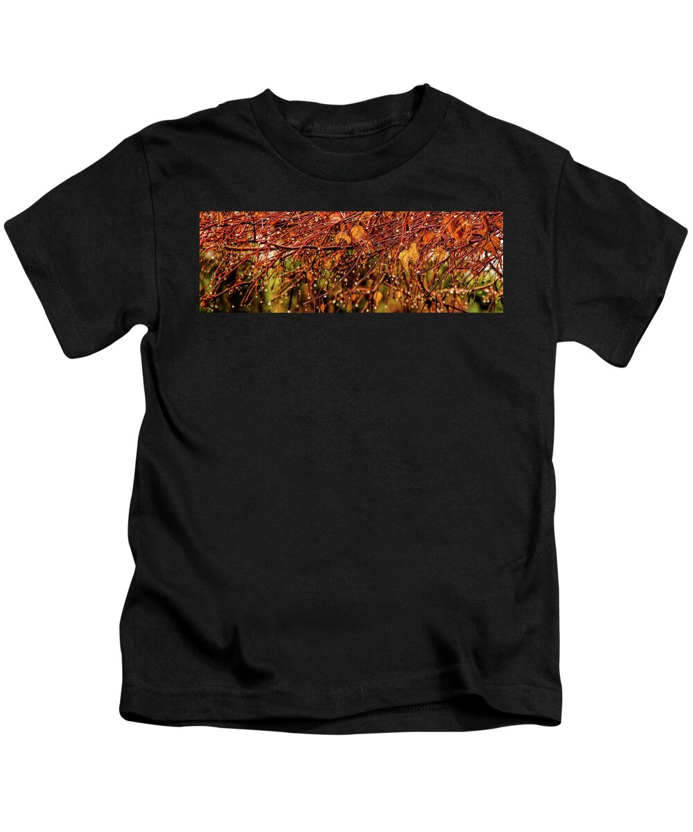 Fall Kids T-Shirt featuring the photograph Fall Rain Drops by Pamela Dunn-Parrish