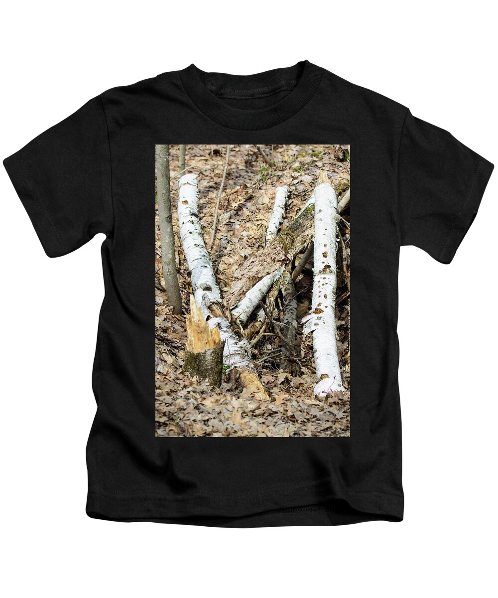 Fallen Birch Kids T-Shirt featuring the photograph Fallen Birch by James Canning