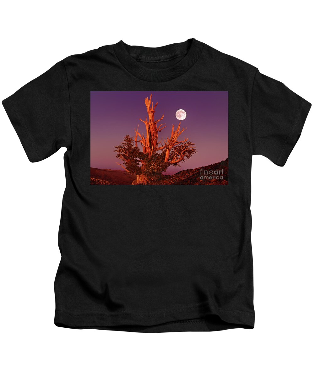 Dave Welling Kids T-Shirt featuring the photograph Full Moon Bristlecone Pine White Mountains California by Dave Welling
