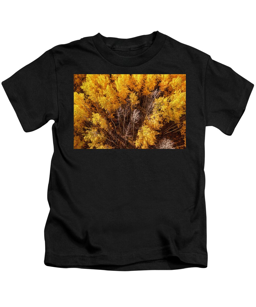 Fall Colors Kids T-Shirt featuring the photograph Golden Aspen Forest Aerial Design by Christopher Johnson