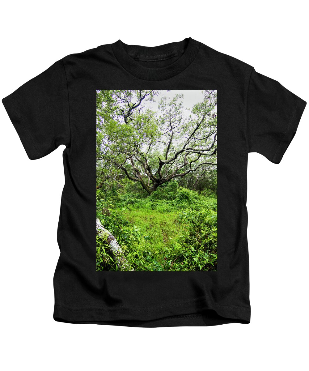 Live Oak Kids T-Shirt featuring the photograph Hoop Pole Creek Live Oak Tree by Bob Decker
