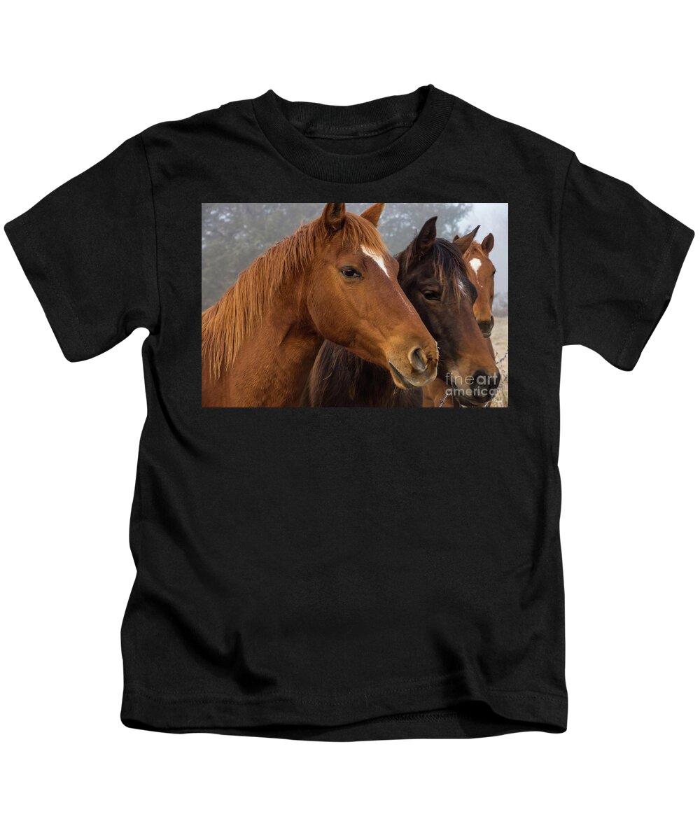 Horse Kids T-Shirt featuring the photograph Horse Triplets by Jennifer White