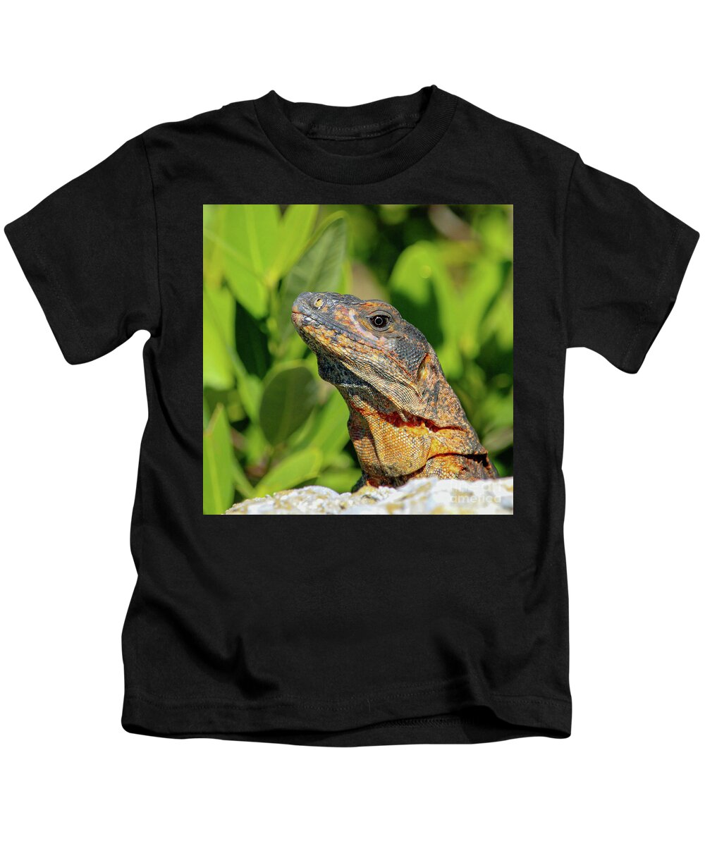 Iguana Kids T-Shirt featuring the photograph Iguana sunning on the rocks by Joanne Carey