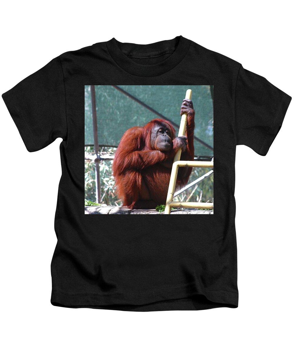 Orangutang Kids T-Shirt featuring the photograph It's My Fiftieth Birthday by Dorsey Northrup