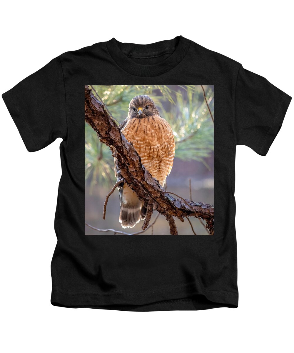Wildlife Kids T-Shirt featuring the photograph Judging Hawk by Rick Nelson