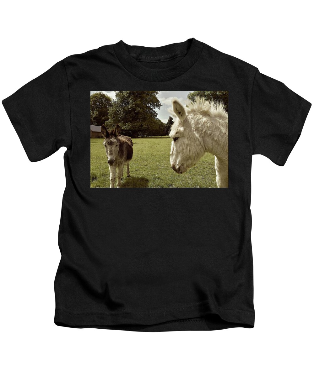 Ane Kids T-Shirt featuring the photograph Killarnay donkeys Irland by Joelle Philibert