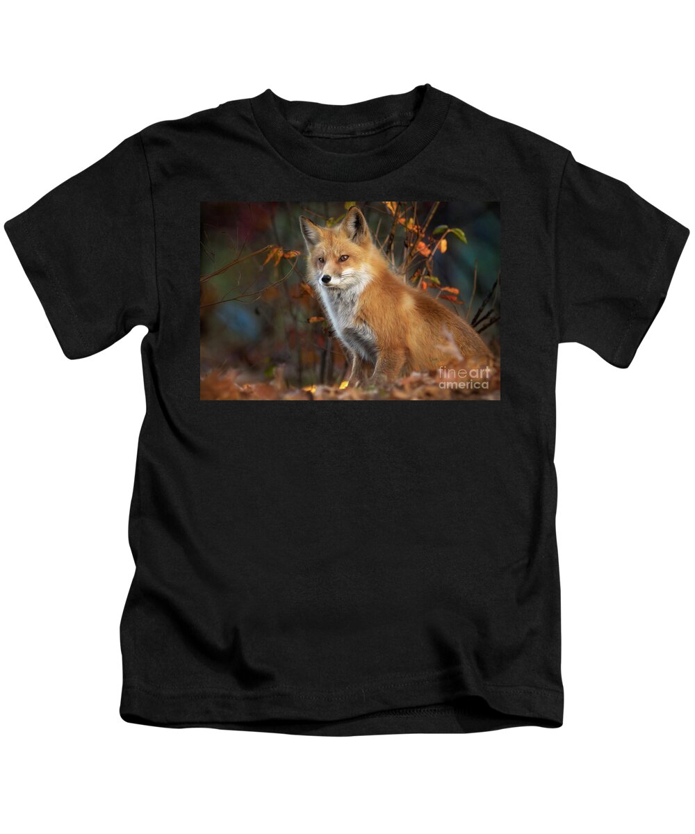 Fox Kids T-Shirt featuring the photograph Melted Gold by Darya Zelentsova