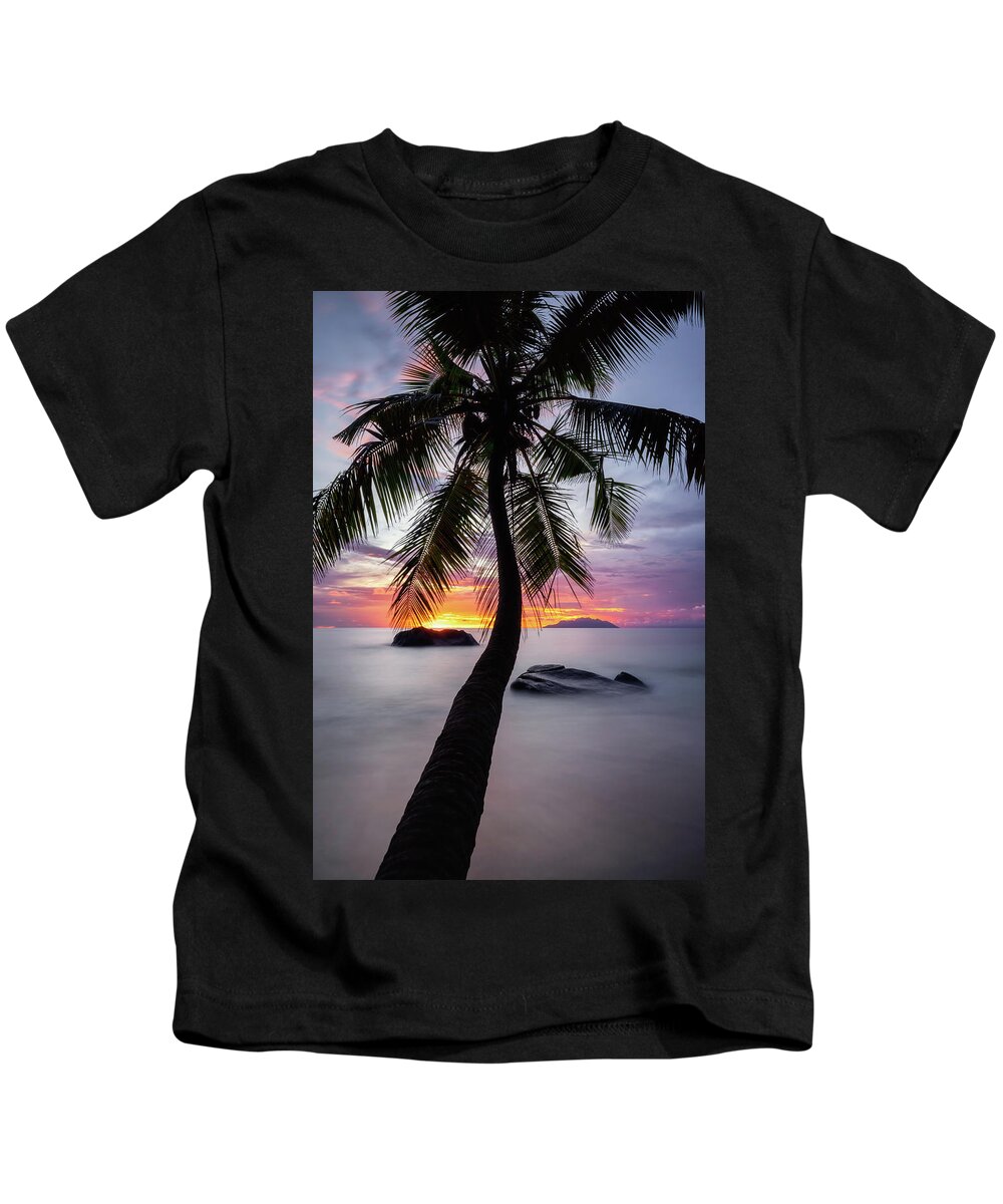 Palm Kids T-Shirt featuring the photograph Palm tree by Erika Valkovicova
