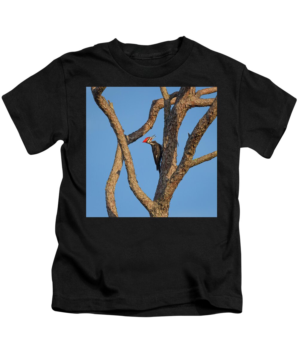 Dryocopus Pileatus Kids T-Shirt featuring the photograph Pileated Woodpecker by Maresa Pryor-Luzier