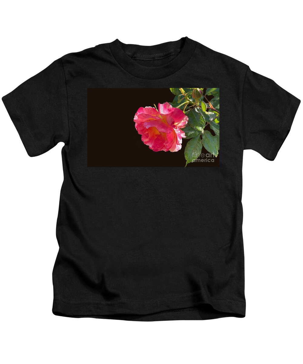 Roses Kids T-Shirt featuring the photograph Pink Disney Rose out of black by Brian Watt
