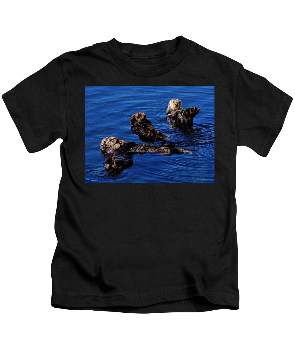 Sea Otters Kids T-Shirt featuring the photograph Playful Otters by Brett Harvey