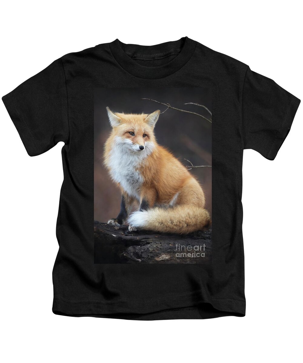 Fox Kids T-Shirt featuring the photograph Portrait of a fox by Darya Zelentsova