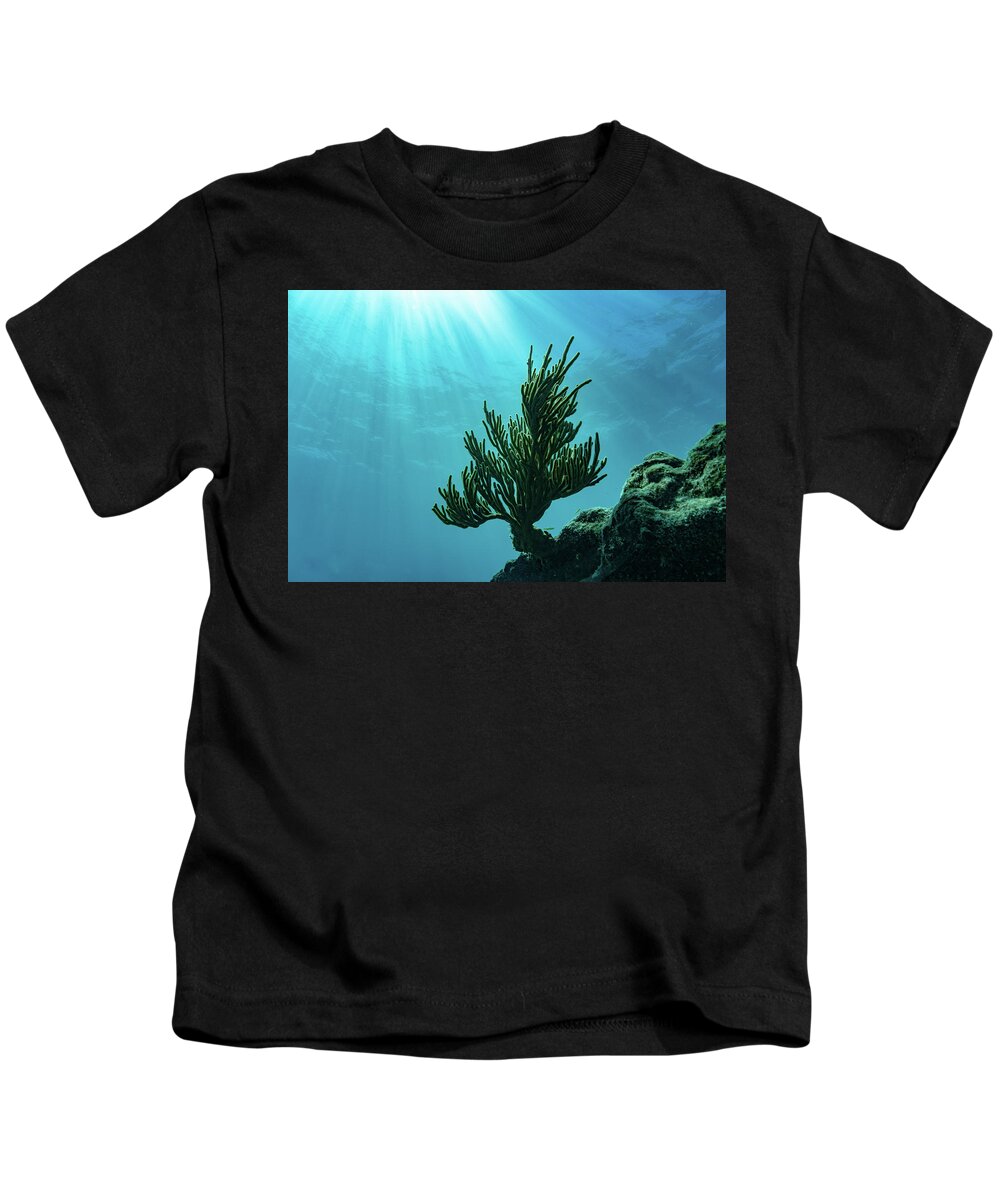 Bluewater Kids T-Shirt featuring the photograph Reaching For The Light by Todd Tucker