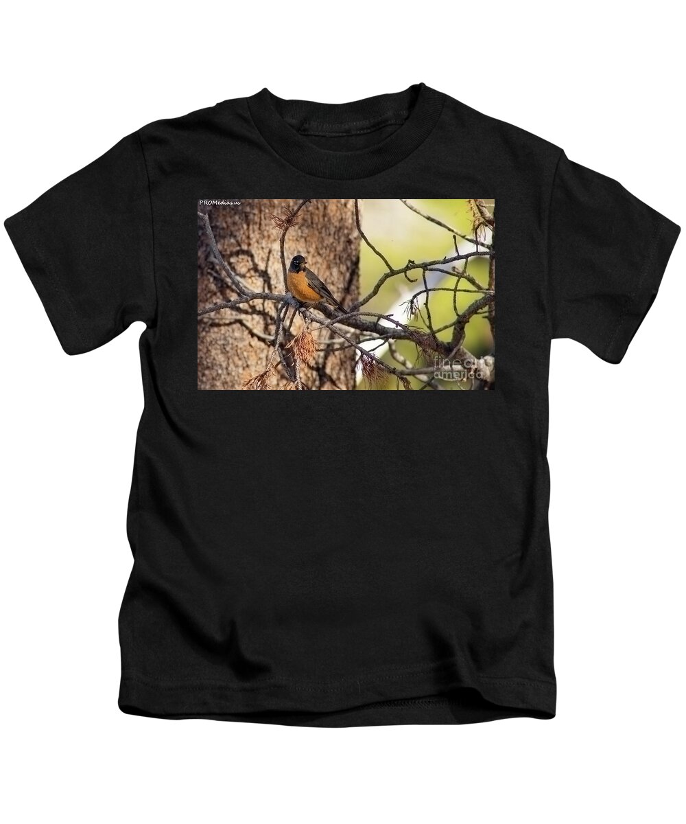Robin Kids T-Shirt featuring the photograph robin-3, El Dorado National Forest, California, U.S.A. by PROMedias US