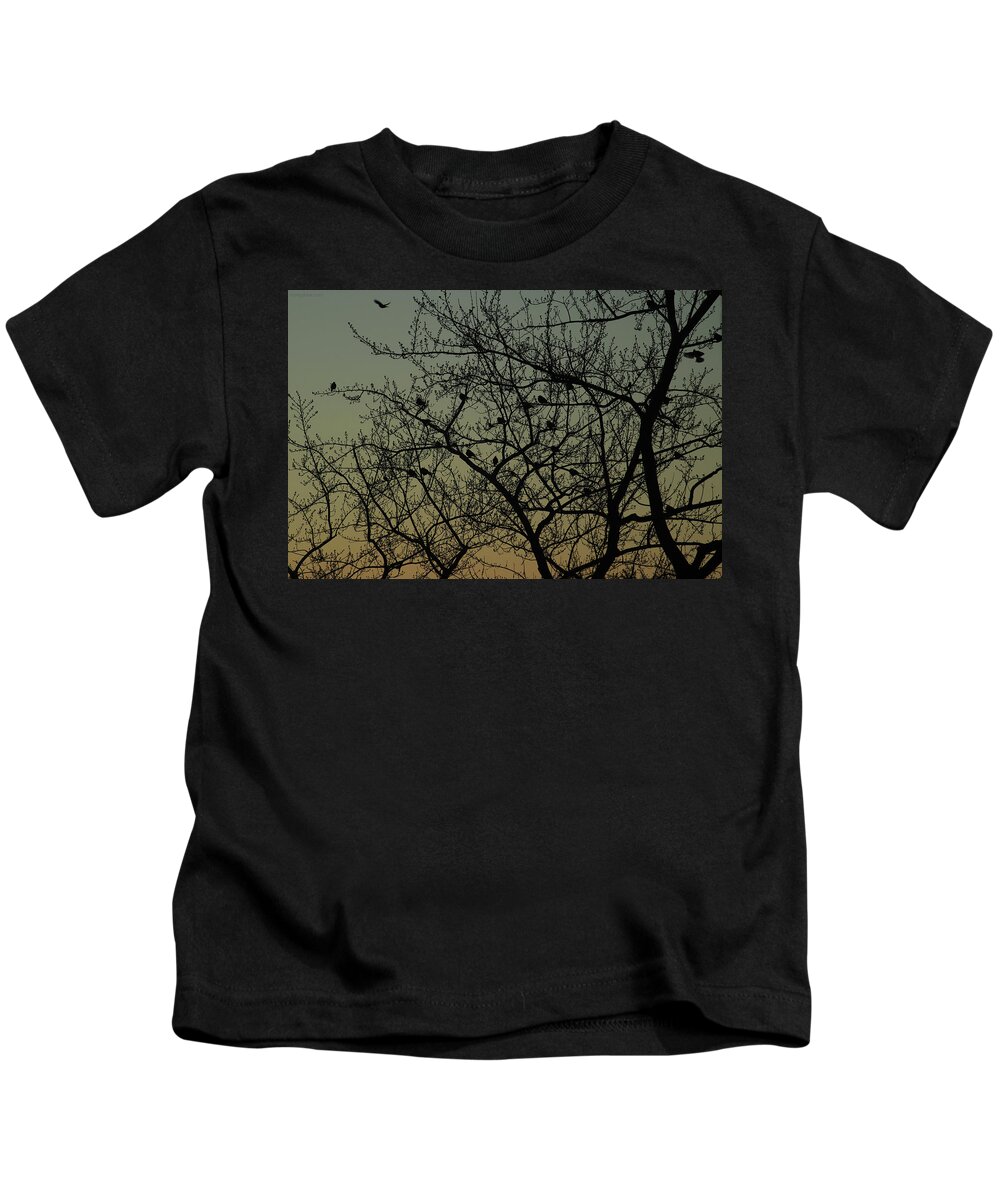 Dawn Kids T-Shirt featuring the photograph Robins at Dawn Gather and Fly February 21 2021 by Miriam A Kilmer