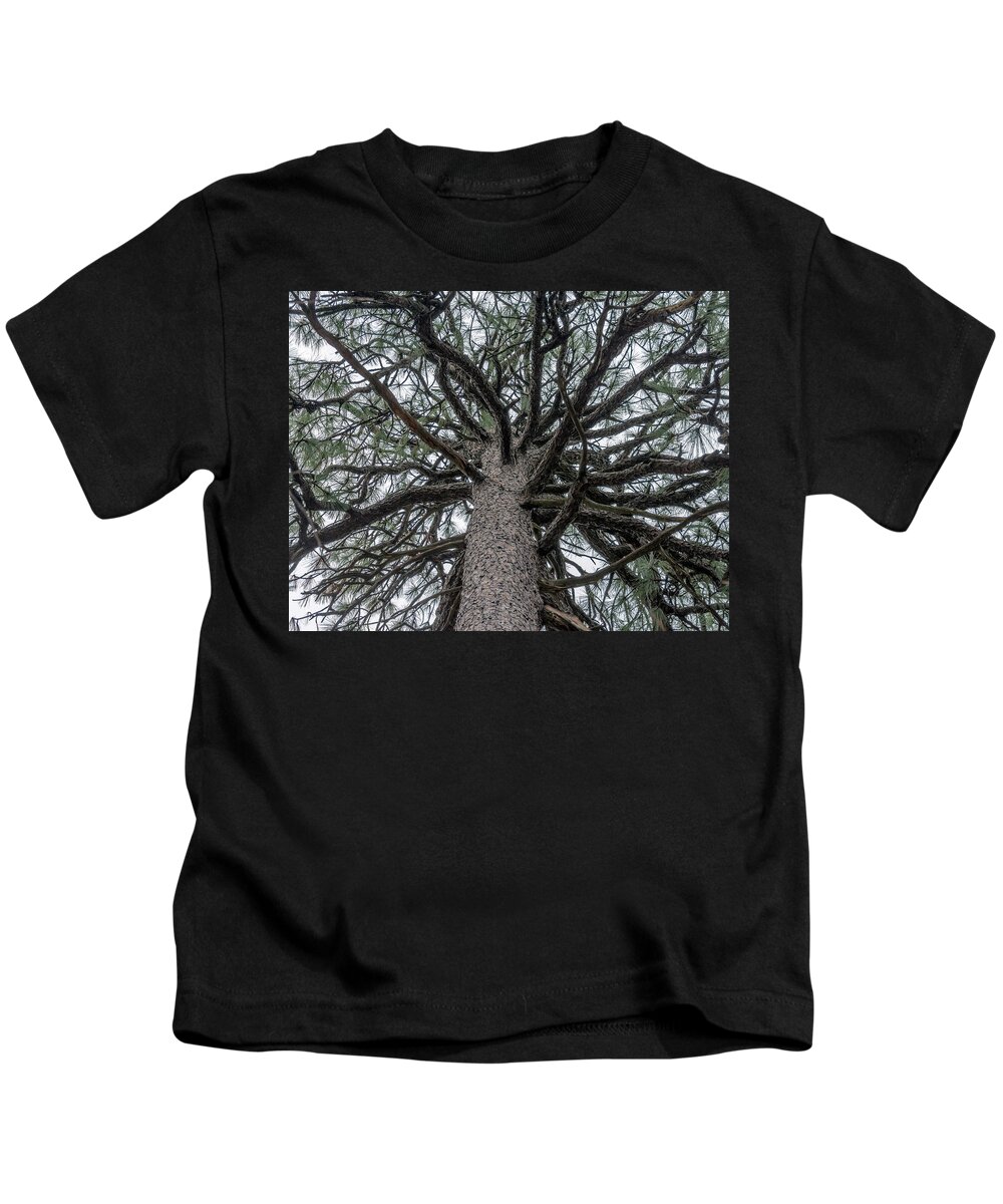 Talkest Kids T-Shirt featuring the photograph Second Talkest Pine Tree in North Carolina by WAZgriffin Digital