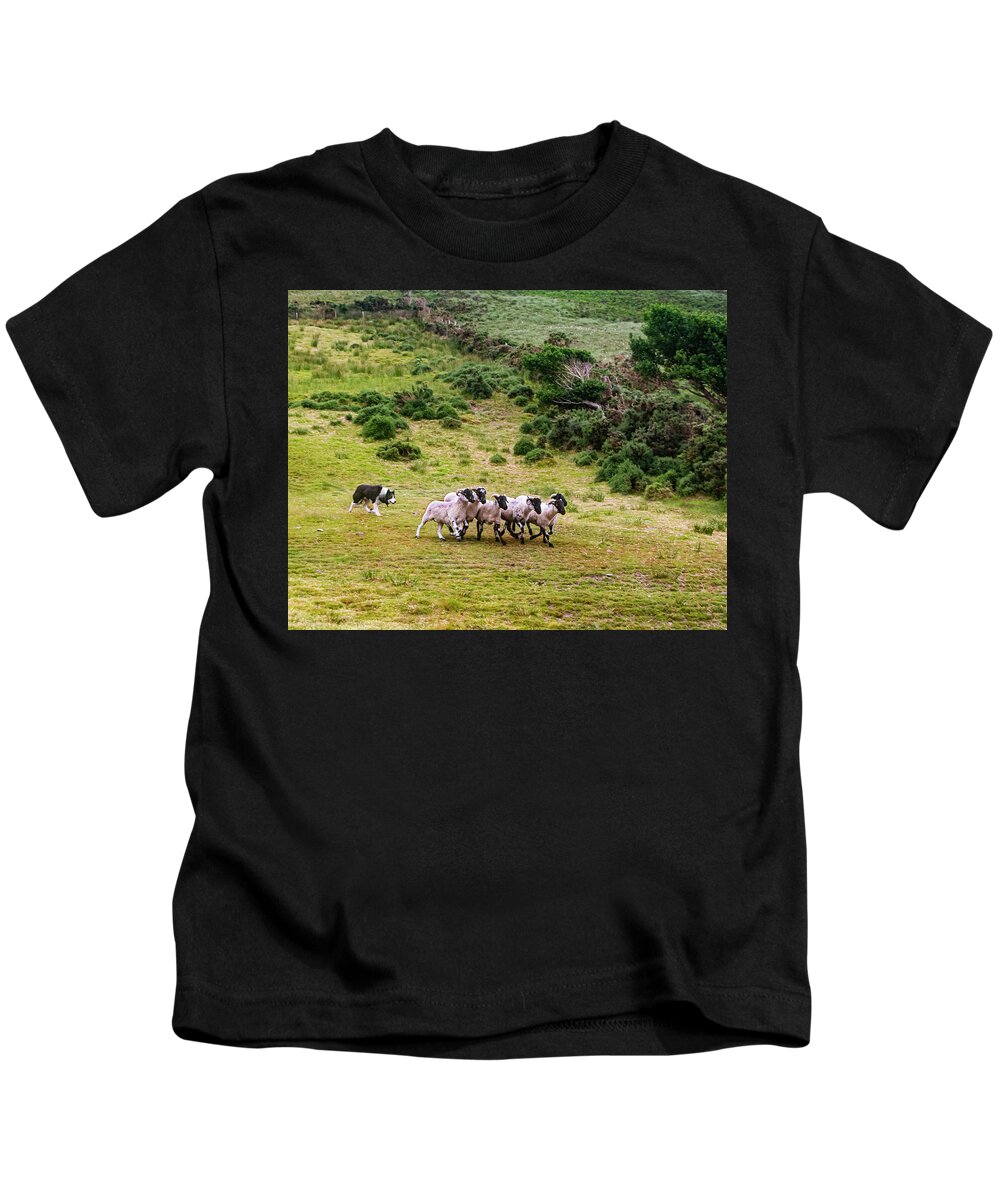 Sheepdog Roundup Kids T-Shirt featuring the photograph The Round Up by Edward Shmunes