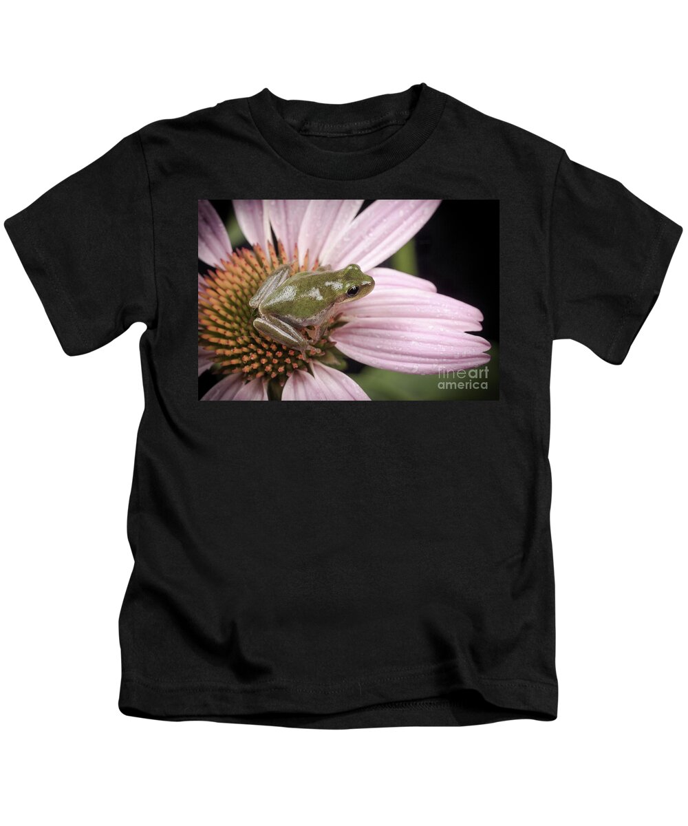 Echinacea Flower Kids T-Shirt featuring the photograph Treefrog by Maresa Pryor-Luzier