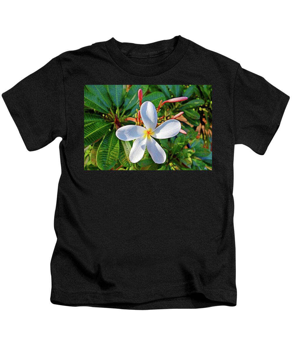 Waikiki Kids T-Shirt featuring the photograph Tropical Plantation Maui Study 30 by Robert Meyers-Lussier