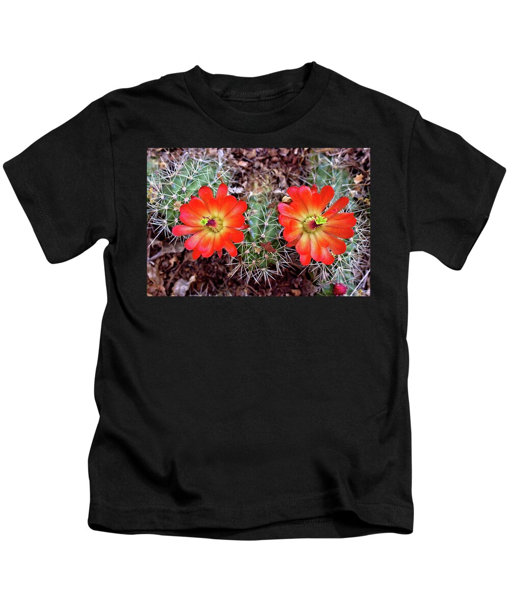 Cacti Kids T-Shirt featuring the photograph Twin Claret Cup Cactus by Bob Falcone