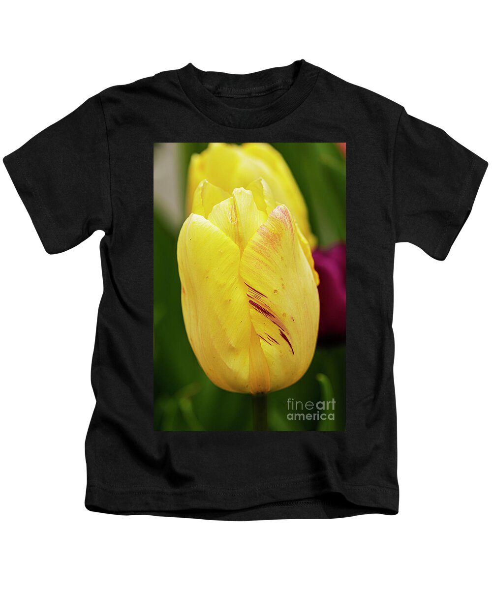 Tulip Kids T-Shirt featuring the photograph Variegated Yellow Tulip with Red Trim by Ilene Hoffman