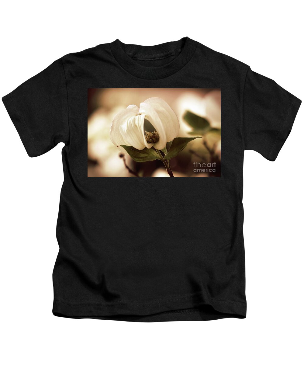 Dogwood; Dogwood Blossom; Blossom; Flower; Vintage; Macro; Close Up; Petals; Sepia; Leaves; Tree; Branches Kids T-Shirt featuring the photograph Vintage Dogwood on the Verge of Blooming by Tina Uihlein