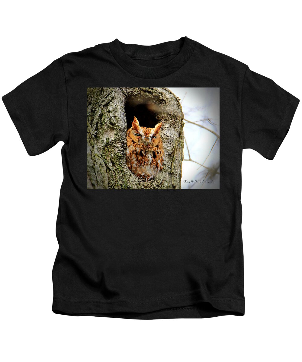 Eastern Screech Owl Red Morph Kids T-Shirt featuring the photograph Whooo are You by Mary Walchuck