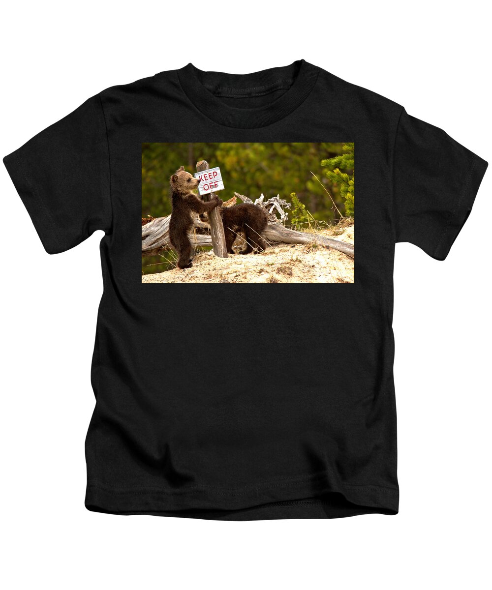 Grizzly Bear Kids T-Shirt featuring the photograph Yellowstone Junior Rangers by Adam Jewell