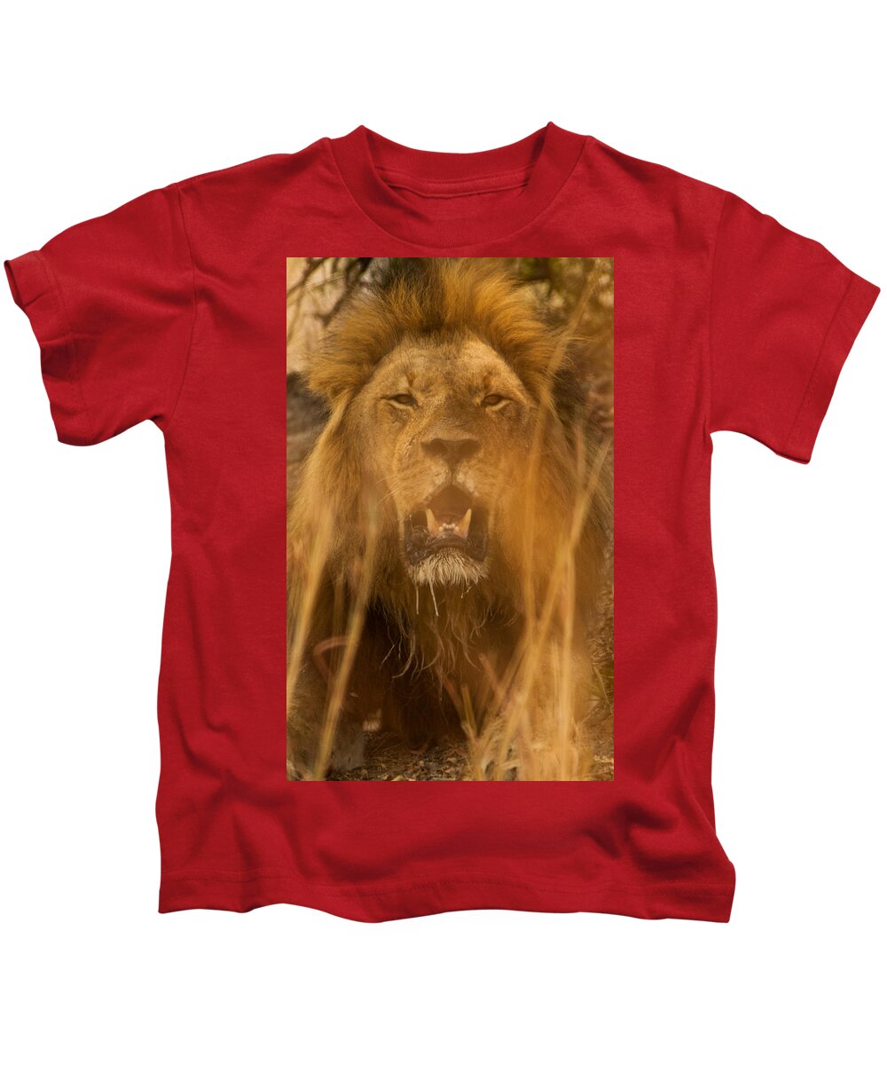 Africa Kids T-Shirt featuring the photograph Aloof by Alistair Lyne