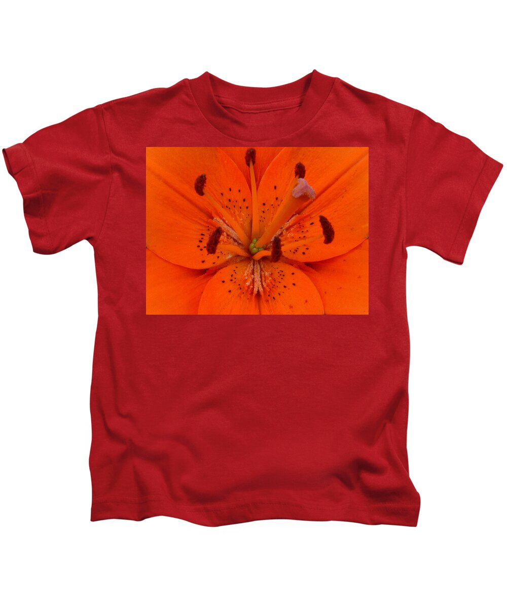 Flowers Kids T-Shirt featuring the photograph Daylily heart by Ellen Paull
