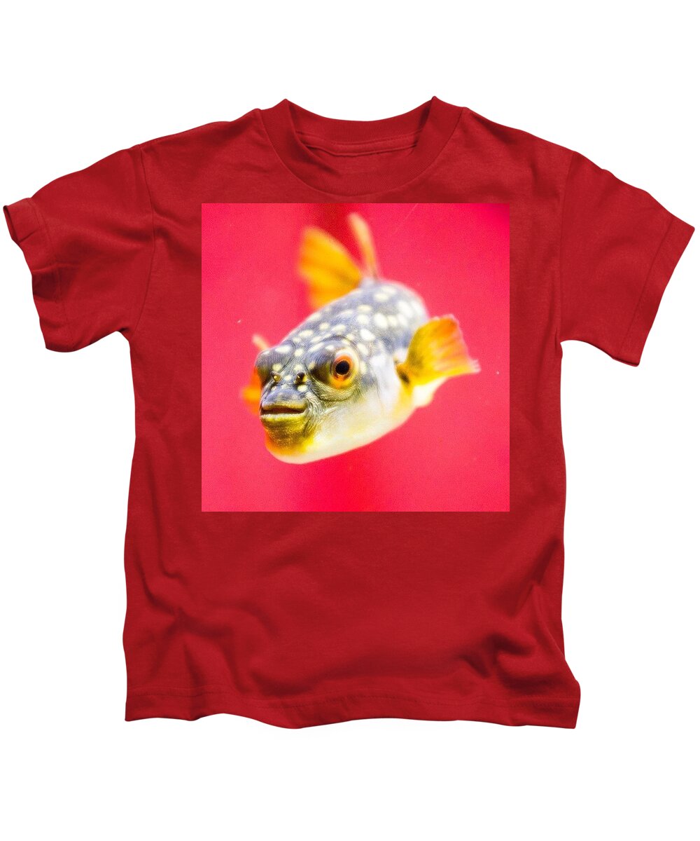 Pufferfish Kids T-Shirt featuring the photograph Funny Fish by Aleck Cartwright