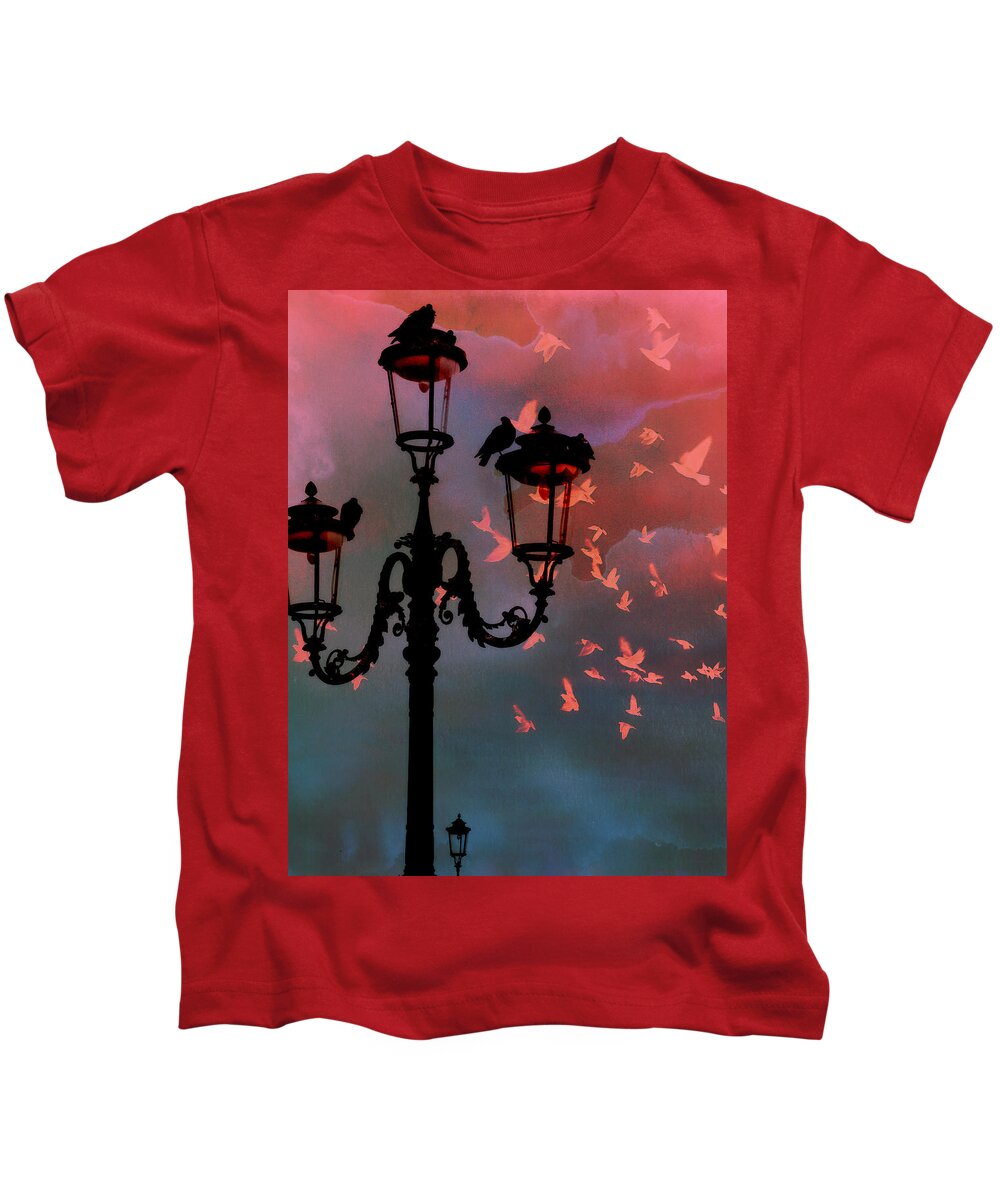 Venice Kids T-Shirt featuring the photograph Il Volo by Micki Findlay