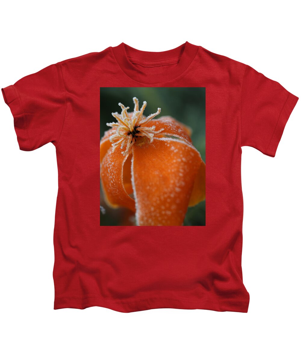 Frost Kids T-Shirt featuring the photograph Natures Frost by Miguel Winterpacht