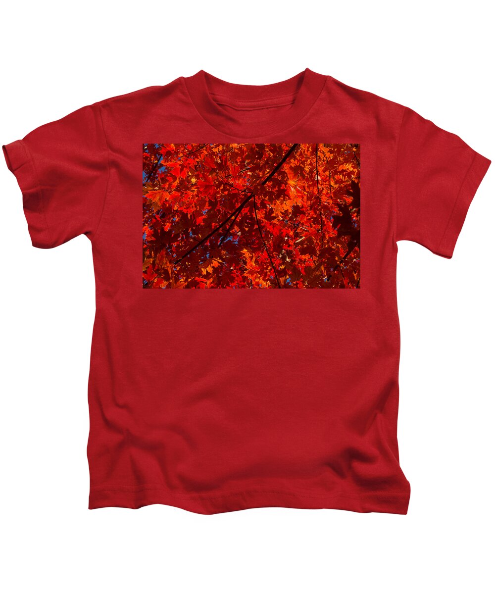 Red Kids T-Shirt featuring the photograph Red Red and Red by Georgia Mizuleva