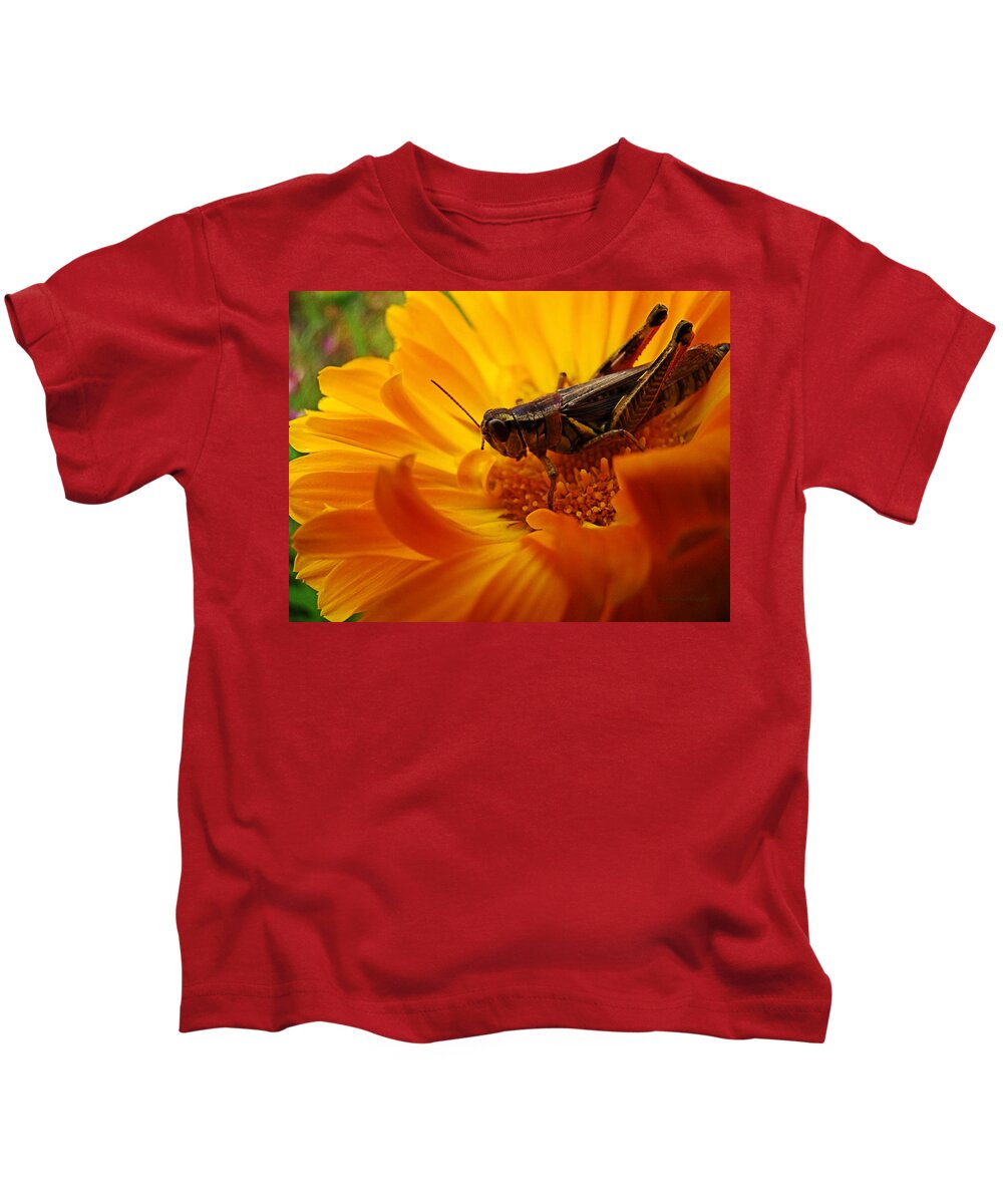 Floral Kids T-Shirt featuring the digital art Grasshopper Luncheon by Lianne Schneider