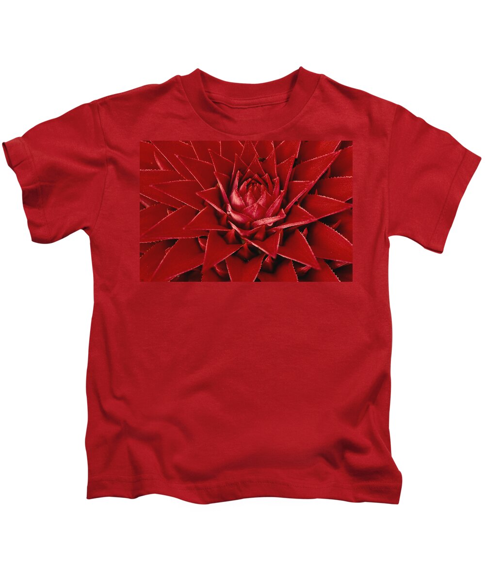 00760006 Kids T-Shirt featuring the photograph Pingwing Bromeliad Flower Panama by Christian Ziegler
