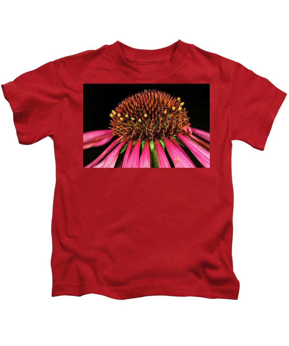 Jay Stockhaus Kids T-Shirt featuring the photograph Cone Flower #1 by Jay Stockhaus