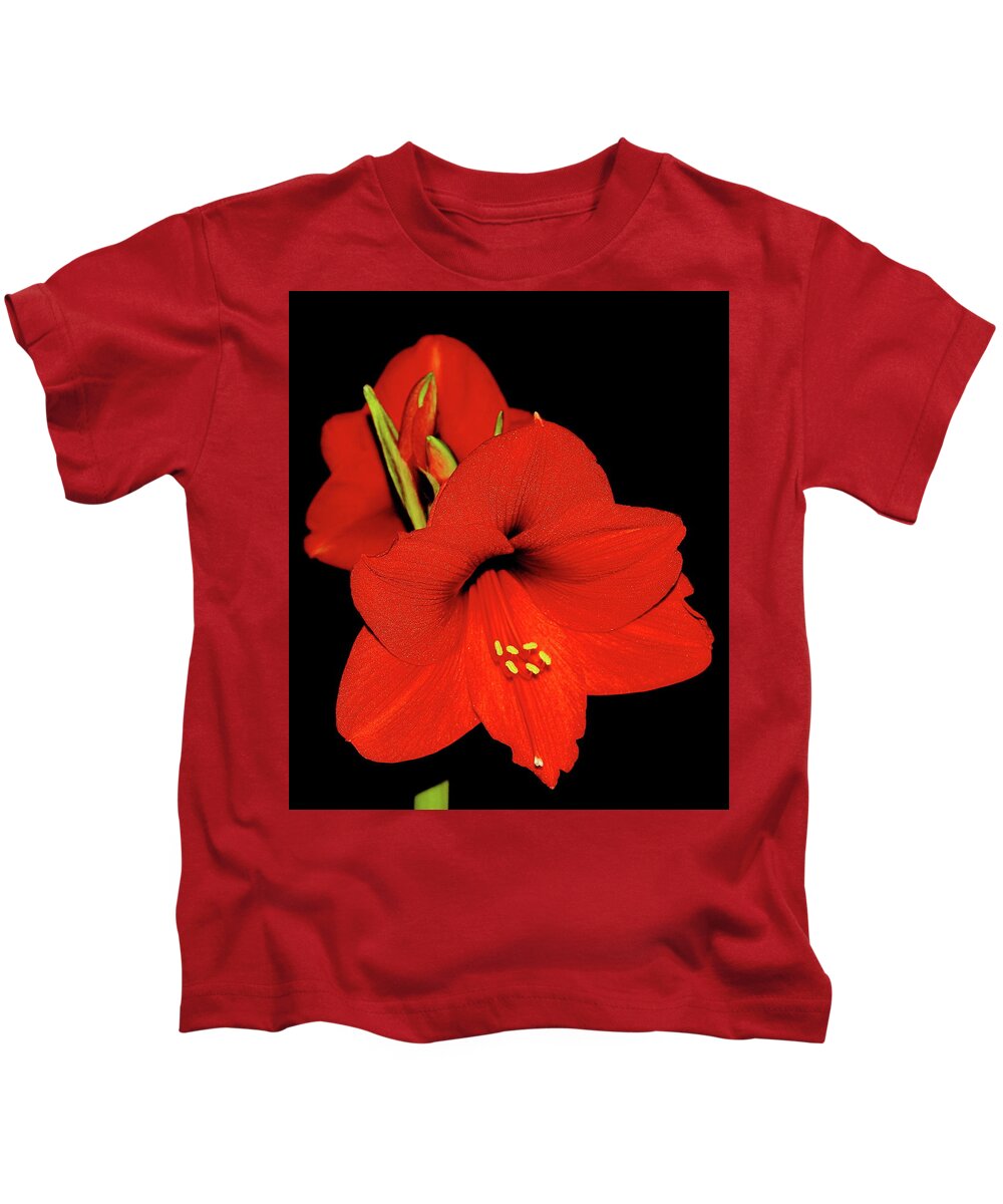 Amaryllis Kids T-Shirt featuring the photograph Amaryllis Display by Allen Nice-Webb