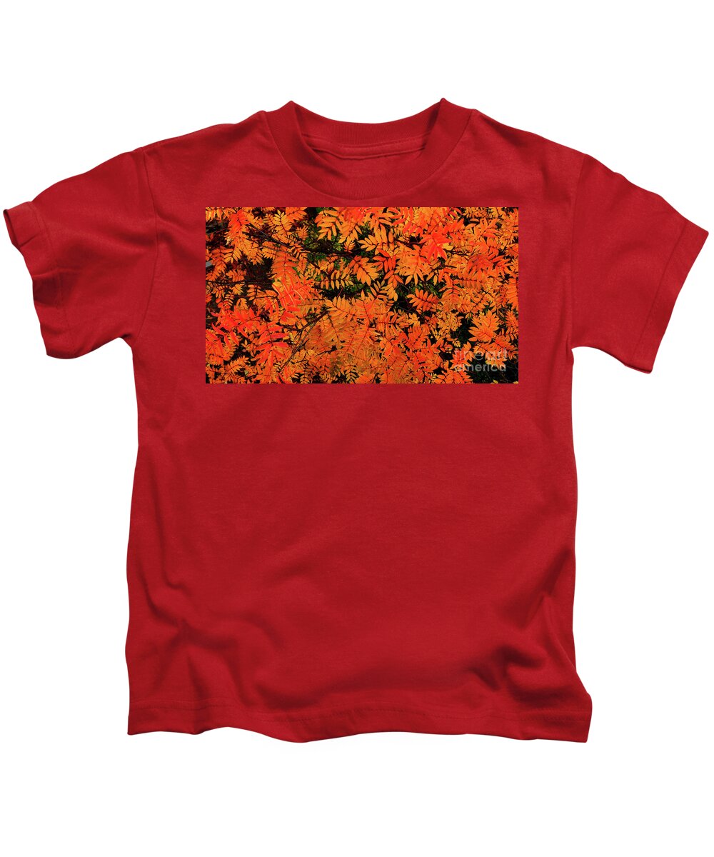  Kids T-Shirt featuring the digital art Autumn in Maple Creek by Darcy Dietrich