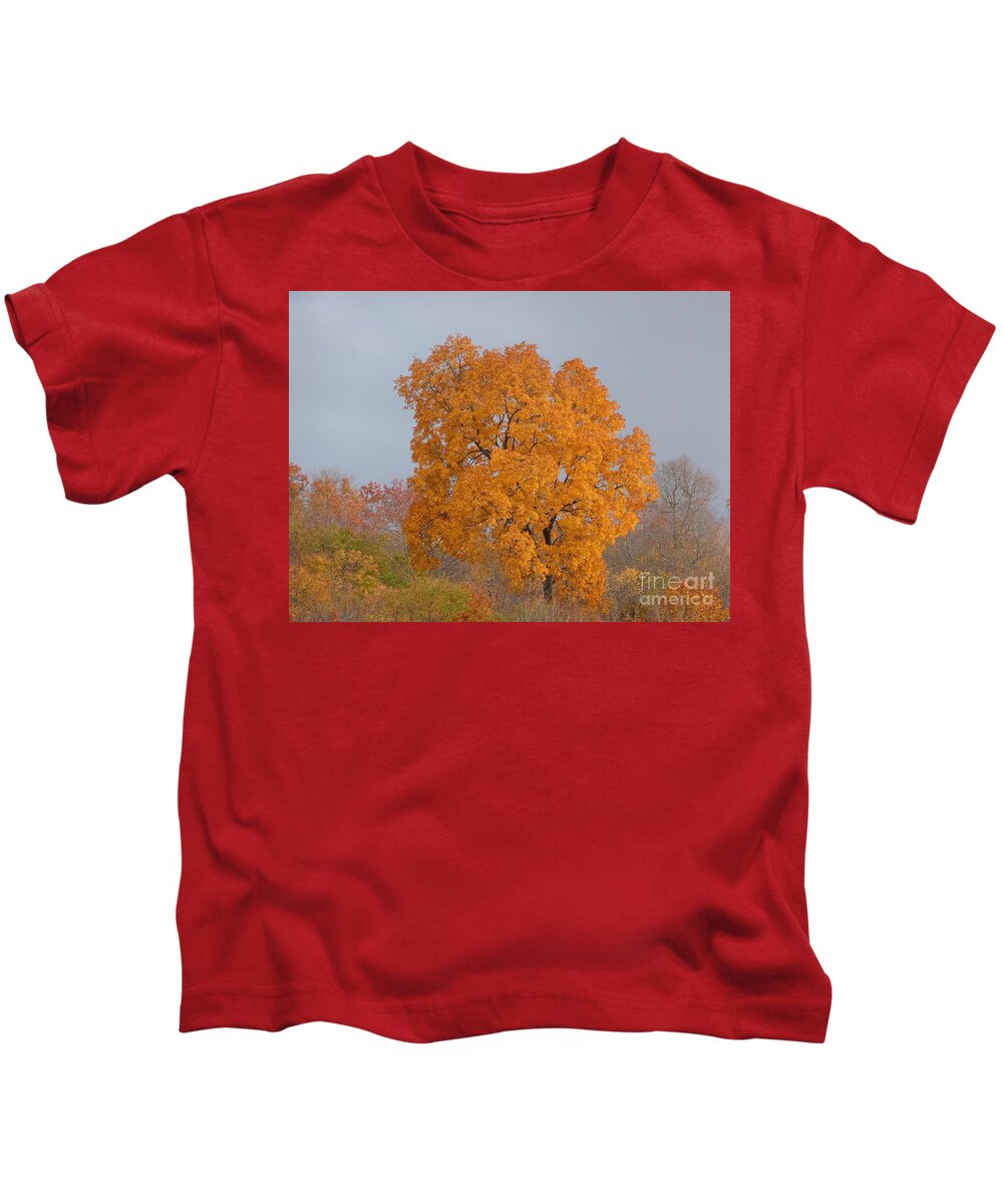 Autumn Kids T-Shirt featuring the photograph Autumn over Prettyboy by Donald C Morgan