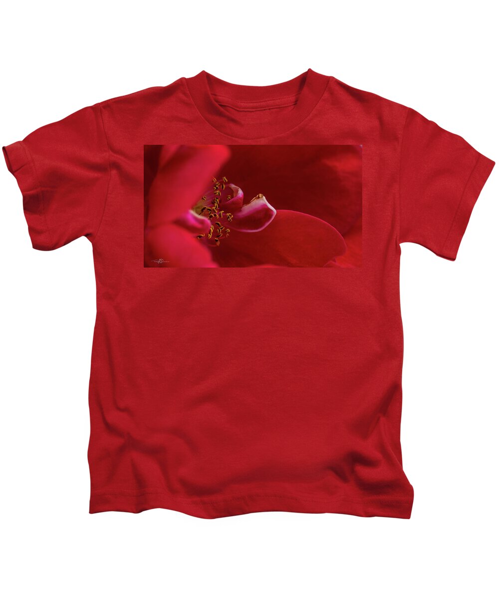 Rosa 'flammentanz' Kids T-Shirt featuring the photograph Flammentanz by Torbjorn Swenelius