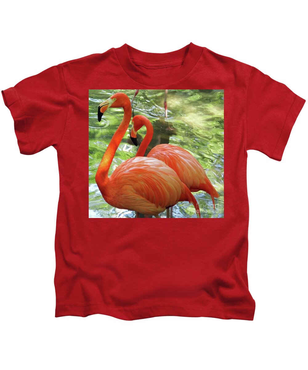 Flamingo Kids T-Shirt featuring the photograph Follow Me by D Hackett