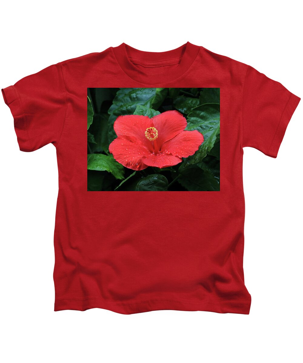 Hibiscus Kids T-Shirt featuring the photograph Hibiscus After Rain by PJQandFriends Photography