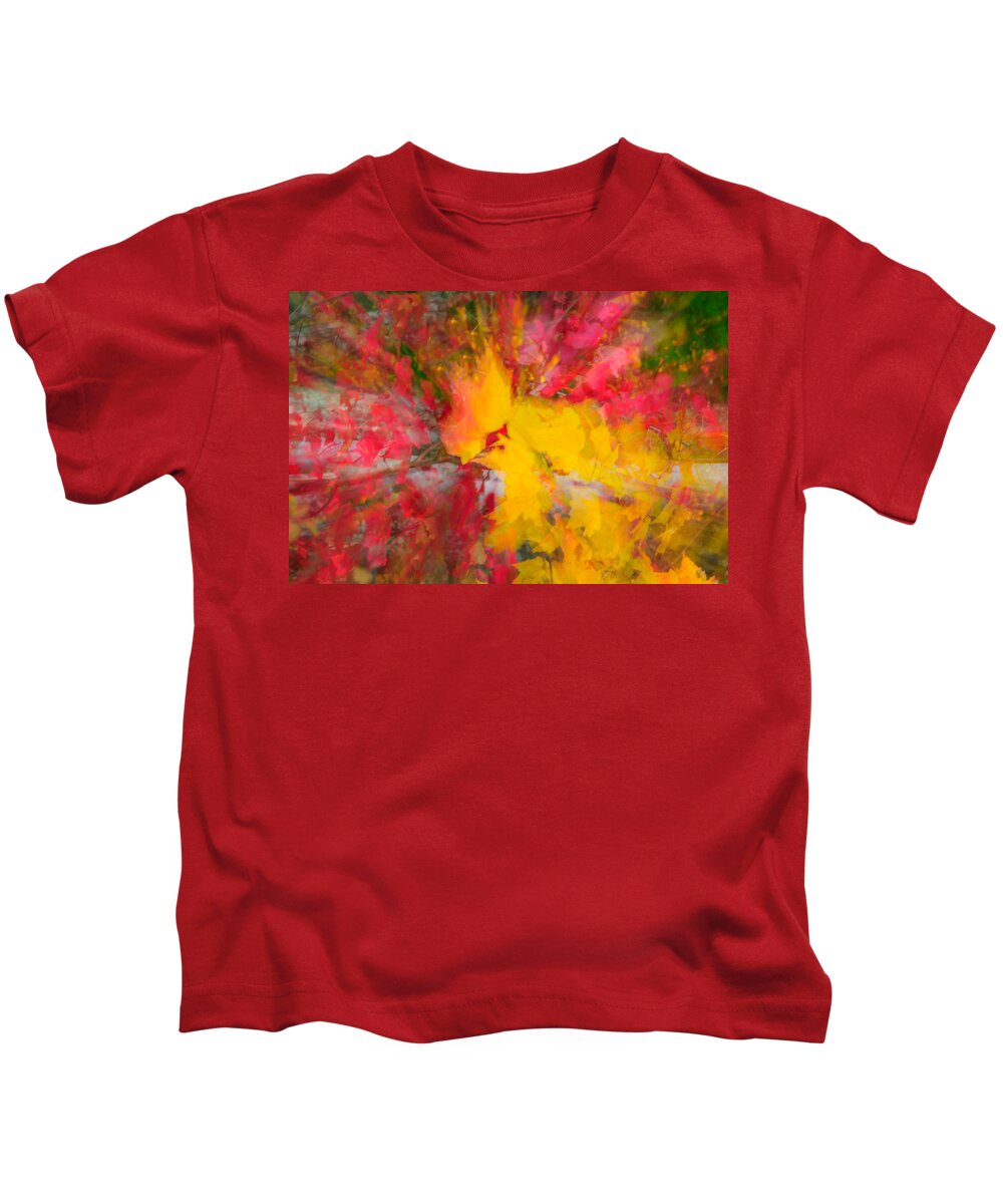 Maine Kids T-Shirt featuring the photograph Kaleidoscope of Fall Colors by Roberta Kayne